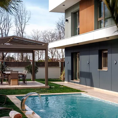 Lulus فيلة سبانجا