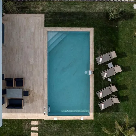 فيلة Lulus سبانجا